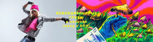 твердый Белокуриха
