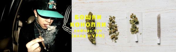 твердый Белокуриха